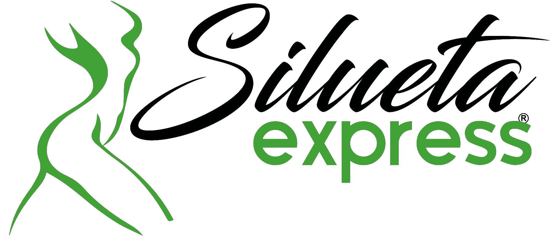 Logo Silueta express